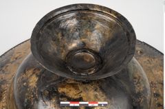 Foto von Bronzebreitrandfußschale (NHMW-PRAE-025275)